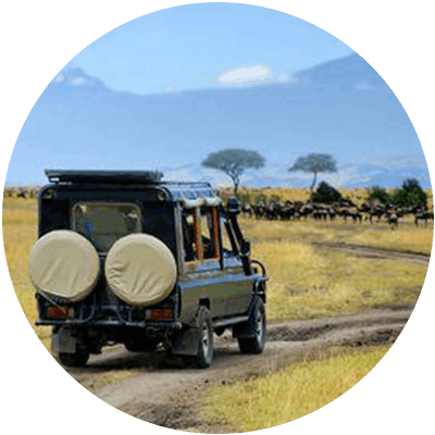 Africa
